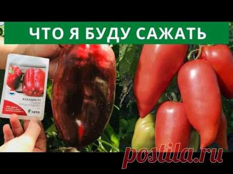 Какие ПРОФЕССИОНАЛЬНЫЕ СЕМЕНА я буду сажать