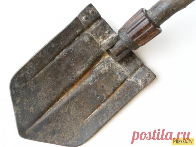 Спасительная лопата Как-то мы с мужем гуляли по лесу в поисках грибов и я наткнулась на лопатку. Хорошая саперная лопатка, немного покрытая ржавчиной, но крепкая. Муж взял, почистил, сделал черенок и кинул лопатку в