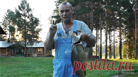 В средней полосе, карп нерестится летом | Хозяйство Воронова | Яндекс Дзен