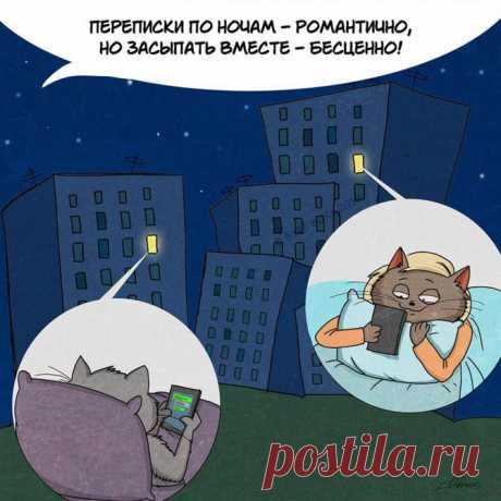 Радости современной жизни в исполнении котов
