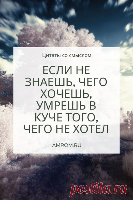 Цитаты со смыслом. Сборник красивых цитат | Журнал Амром