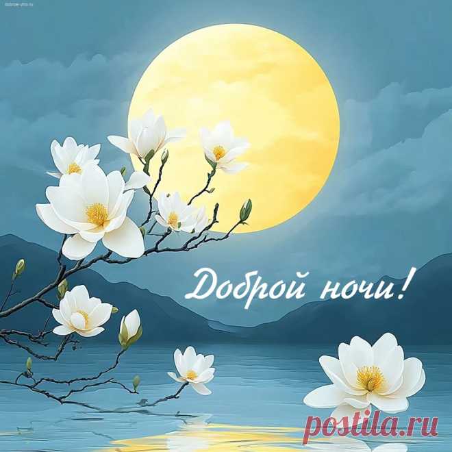Спокойной тебе ночи!
Пусть сладко тебе спиться!
Пусть все, что ты захочешь,
В ночи тебе приснится!