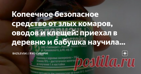 Копеечное безопасное средство от злых комаров, оводов и клещей: приехал в деревню и бабушка научила меня защищаться Приехал я к бабушке в деревню и меня удачно покусали комары. Решил бороться разными антимоскитными средствами, но ничего не помогало, в деревне они какие-то уж очень злые. А странно что мою бабушку совсем не кусают комары и все деревенские тоже от этой напасти не страдают. Решил выяснить в чём же дело и узнал секретный рецепт от комаров, да ещё и копеечный, в...