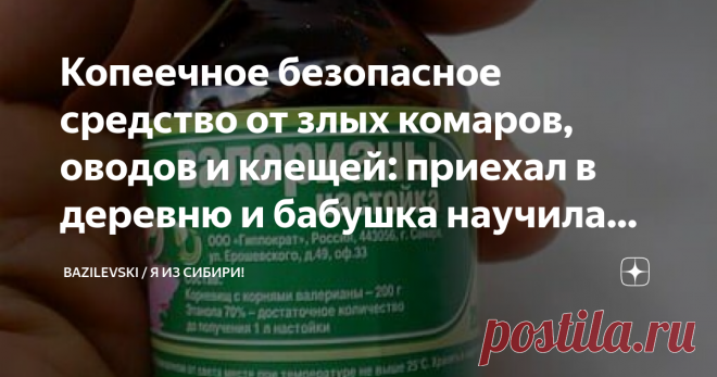 Копеечное безопасное средство от злых комаров, оводов и клещей: приехал в деревню и бабушка научила меня защищаться Приехал я к бабушке в деревню и меня удачно покусали комары. Решил бороться разными антимоскитными средствами, но ничего не помогало, в деревне они какие-то уж очень злые. А странно что мою бабушку совсем не кусают комары и все деревенские тоже от этой напасти не страдают. Решил выяснить в чём же дело и узнал секретный рецепт от комаров, да ещё и копеечный, в...