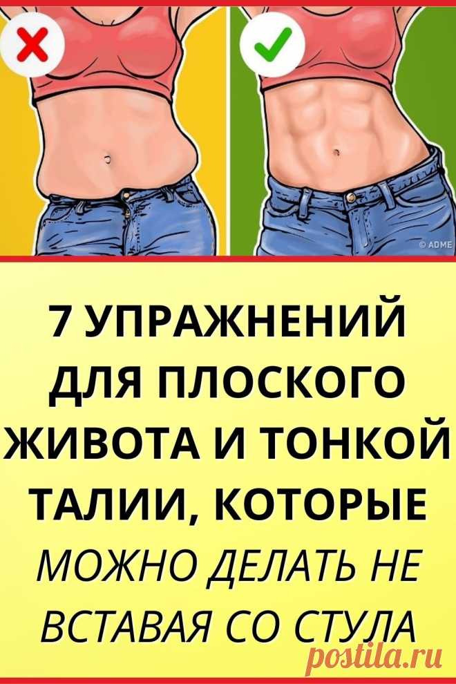 7 упражнений для плоского живота и тонкой талии, которые можно делать не вставая со стула
