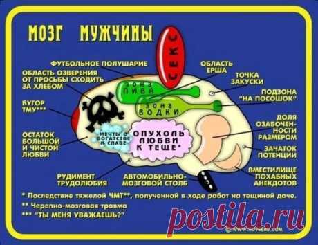 СМЕШНАЯ СХЕМА НА МЕДИЦИНСКУЮ ТЕМУ: 12 тыс изображений найдено в Яндекс.Картинках