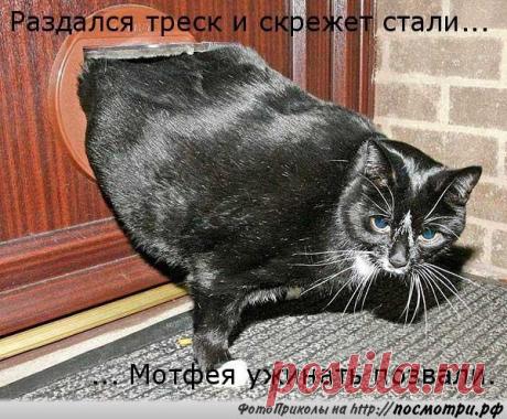 Интересные новости