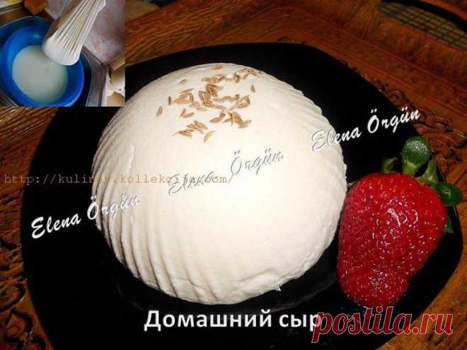 Сыр брынза в домашних условиях | Кулинария своими руками