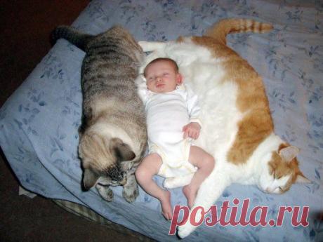 И греют и охраняют)))