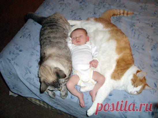 И греют и охраняют)))