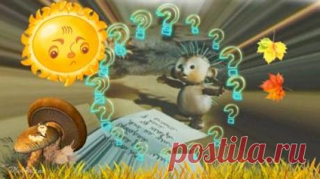 Песенка ёжика - Детские видеоклипы Елены Молчановой mol4alena