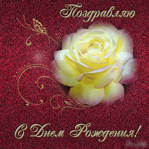 d262c3d94042oao751da6283ad2353dl.gif (500×500)