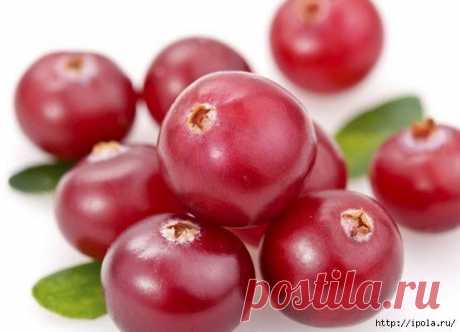 Дневник Вечерком