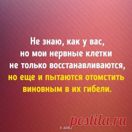 13 доказательств, что сарказм побеждает все: bit.ly/3aWOwXB: