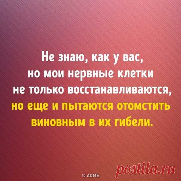 13 доказательств, что сарказм побеждает все: bit.ly/3aWOwXB: