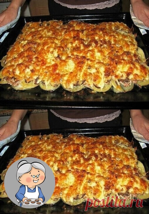Блюдо, которое обязательно готовлю, когда жду гостей.
Вкусно, просто сытно. 

Понадобится:
Картофель (6шт),
Лук (1шт),
Фарш свинина (400г),
Грибы (100-150г),
Сметана (1 стакан),
Яйцо,
Чеснок (2 дольки),
Соль, перец.

Приступим к приготовлению:

- Картофель очистить и нарезать тонкими ломтиками. Лук порезать полукольцами. Грибы порезать небольшими кубиками, смешать с фаршем и приправить солью и перцем.

Для заправки:
- Сметану смешать с пропущенным через пресс чесноком, доб...