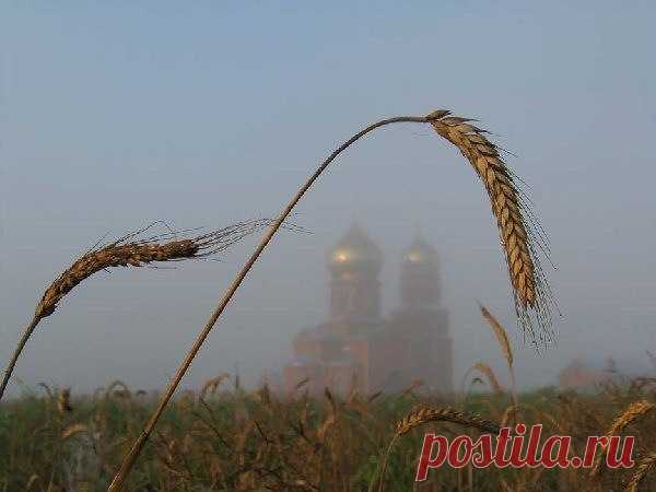 Живи, не гордясь – не упадешь в грязь. (Монах Симеон Афонский)