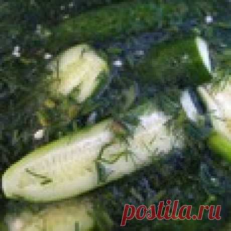 Малосольные и маринованные огурцы "Нон-стоп" Кулинарный рецепт