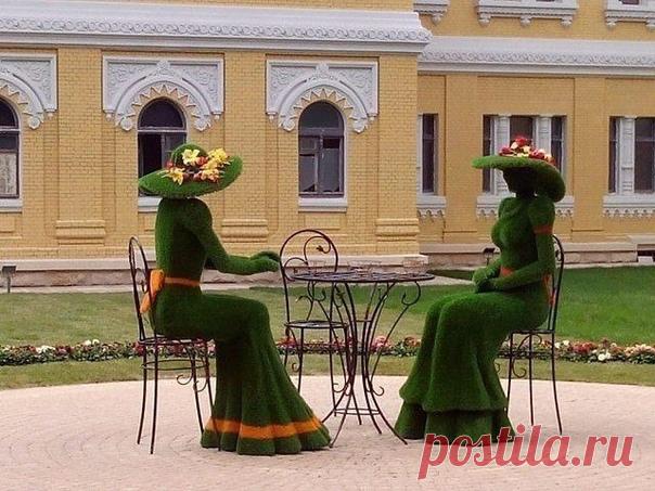 Браво создателю!