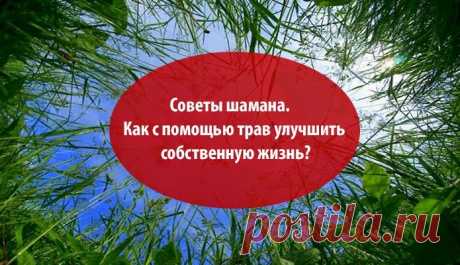 Как с помощью трав улучшить собственную жизнь? ~ Эзотерика и самопознание