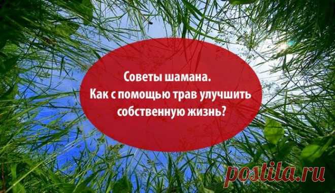 Как с помощью трав улучшить собственную жизнь? ~ Эзотерика и самопознание