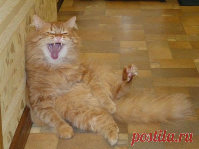 ой,как весело