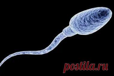 Elreydelmundo 1: See and download images — Yandex Images