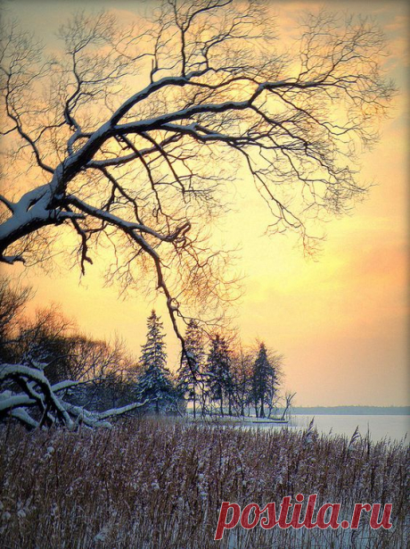 Sunset By The Lake, Siauliai, Lithuania
от * Regina *  |  Pinterest • Всемирный каталог идей