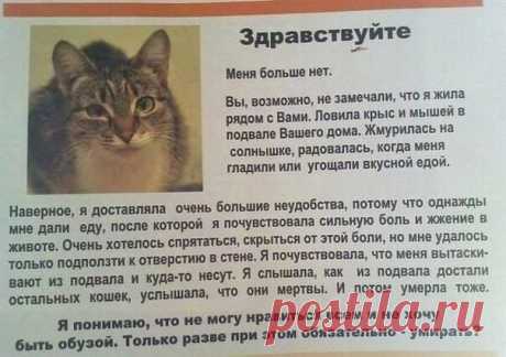 Мария Мордвинова