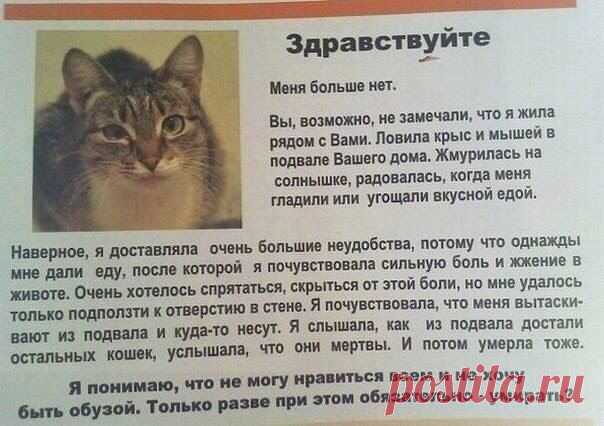 Мария Мордвинова