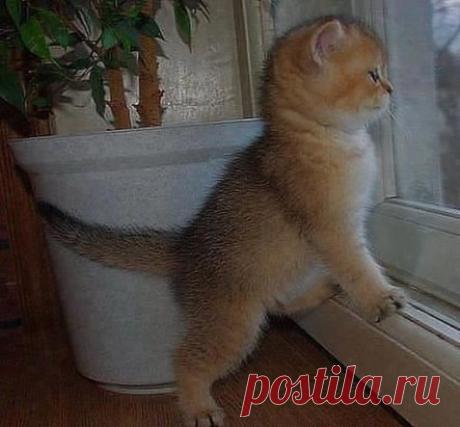 - Ушла и пропала... И не думает, что я переживаю...