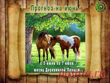 Активации на Июнь.
