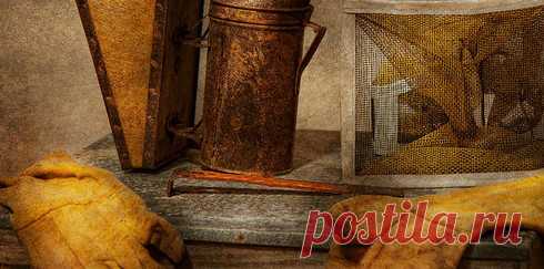 Откровение пчеловода: Медовый обман, узнаем правду!