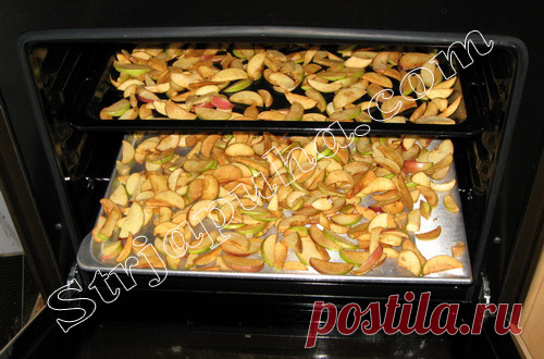 Правильно сушим яблоки