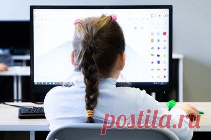 Россияне массово пожаловались на платные подписки в школьных дневниках