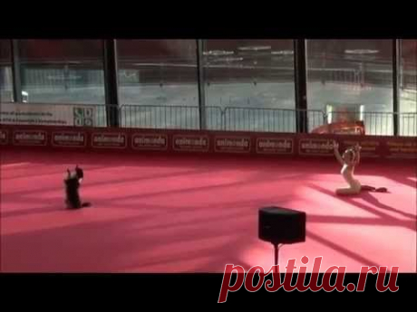 OEC 2014 - Dogdance Freestyle - Sandra &amp; Lizzy