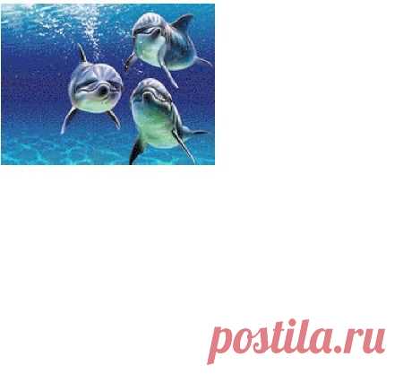 Дельфины / Вышивка / Вышивка крестом