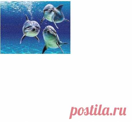 Дельфины / Вышивка / Вышивка крестом