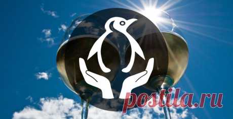 Вакансия мечты: дегустатор во Франции