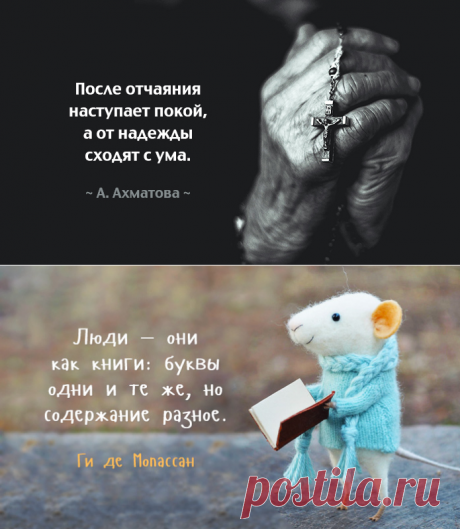 Мысли, над которыми хочется задуматься
