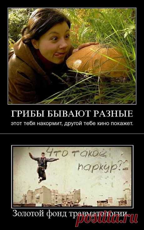 ДЕмотиваторы сегодняшнего дня.