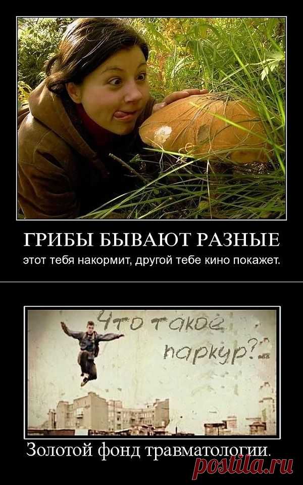 ДЕмотиваторы сегодняшнего дня.