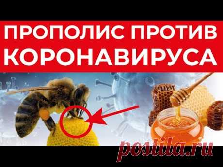 ПРОПОЛИС против КОРОНАВИРУСА