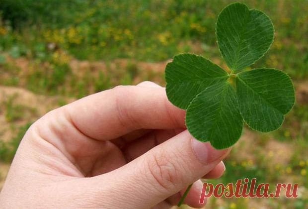 Знаки Судьбы: хорошие и добрые приметы которые приносят удачу  Рубрика Гороскоп: Знаки Судьбы: хорошие и добрые приметы которые приносят удачу . Читай последние новости событий на Joinfo.ua