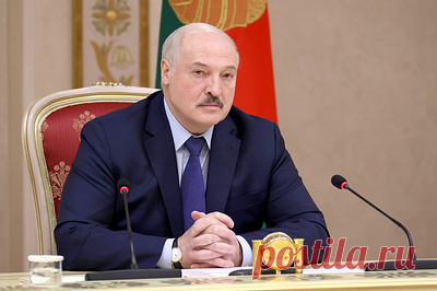 Лукашенко: Трамп прав, что "наклоняет" Европу. Такое заявление прозвучало в контексте обсуждения экспорта украинского зерна