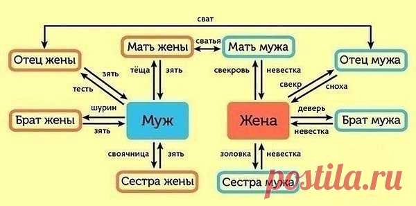 Как не запутаться в родственниках?

У Вас дружная и многочисленная семья? Никак не можете запомнить, кем Вам приходятся все Ваши родственники? Мы поможем разобраться!

1) Родители супругов

Свёкор — отец мужа.
Свекровь — мать мужа.
Тесть — отец жены.
Тёща — мать жены.
Сват — отец одного из супругов по отношению к родителям другого супруга.
Сватья (сваха) — мать одного из супругов по отношению к родителям другого супруга.

2) Братья и сёстры супругов

Деверь — брат мужа.
Золовка —