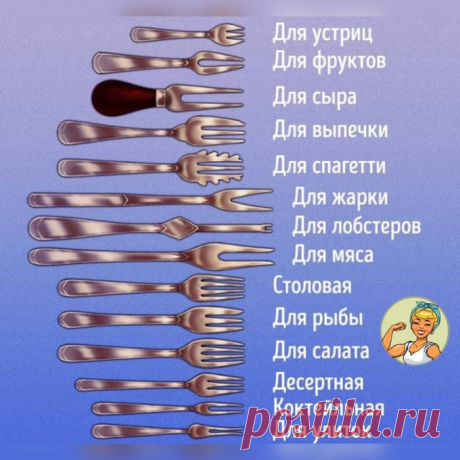 Кулинария