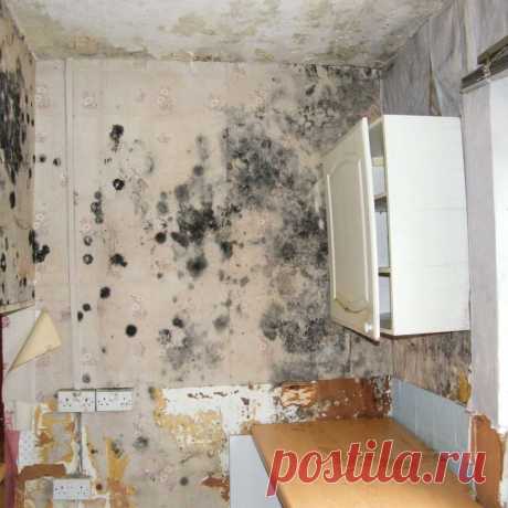 🧼 Клининговые услуги по уборке квартир, офисов, технических помещений
🔟 Большой опыт работ 🙇 Ответственность за порчу 💝 Приятные цены
🌍 Работаем по всей Москве и Московской области 📞 +7(969)022-34-60