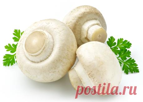 23 соуса на любой вкус!