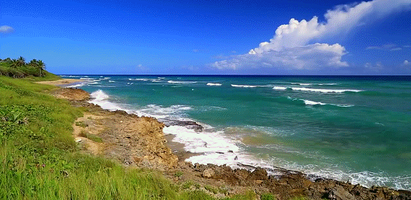 h-1529.jpg (600×292)